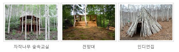 겨울 국내 추천 여행지 BEST5 26