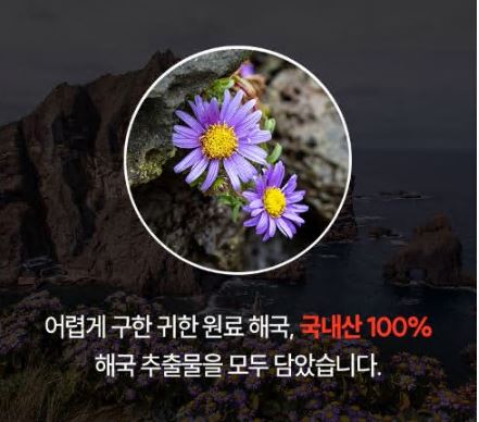 고현정다이어트-핵심성분