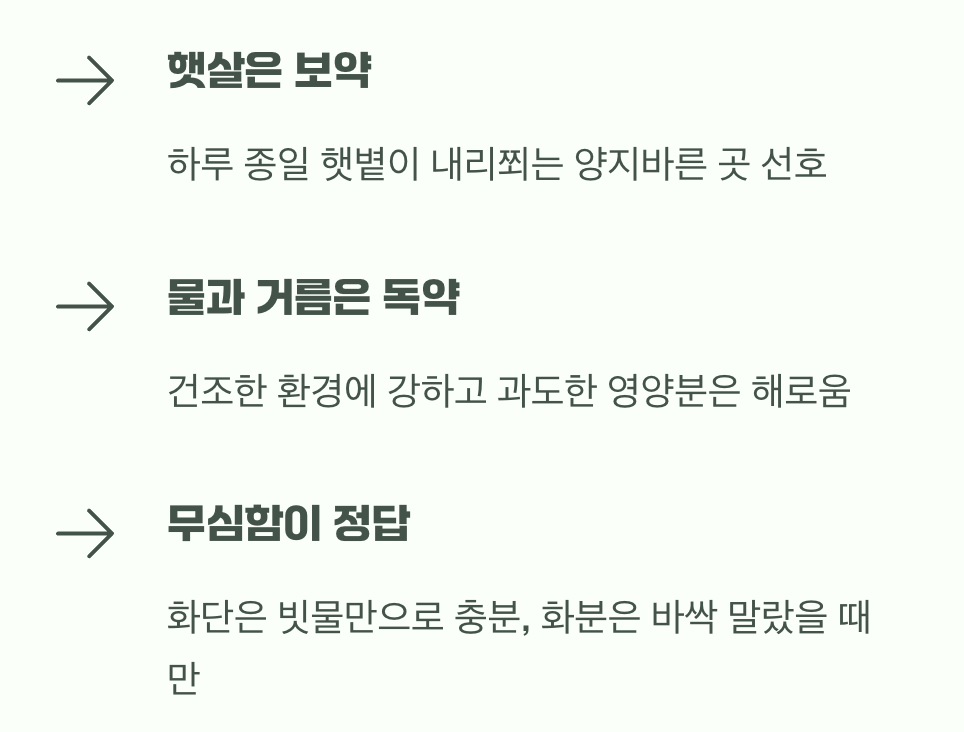 야생화의 취향, 햇살은 보약 물과 거름은 독약