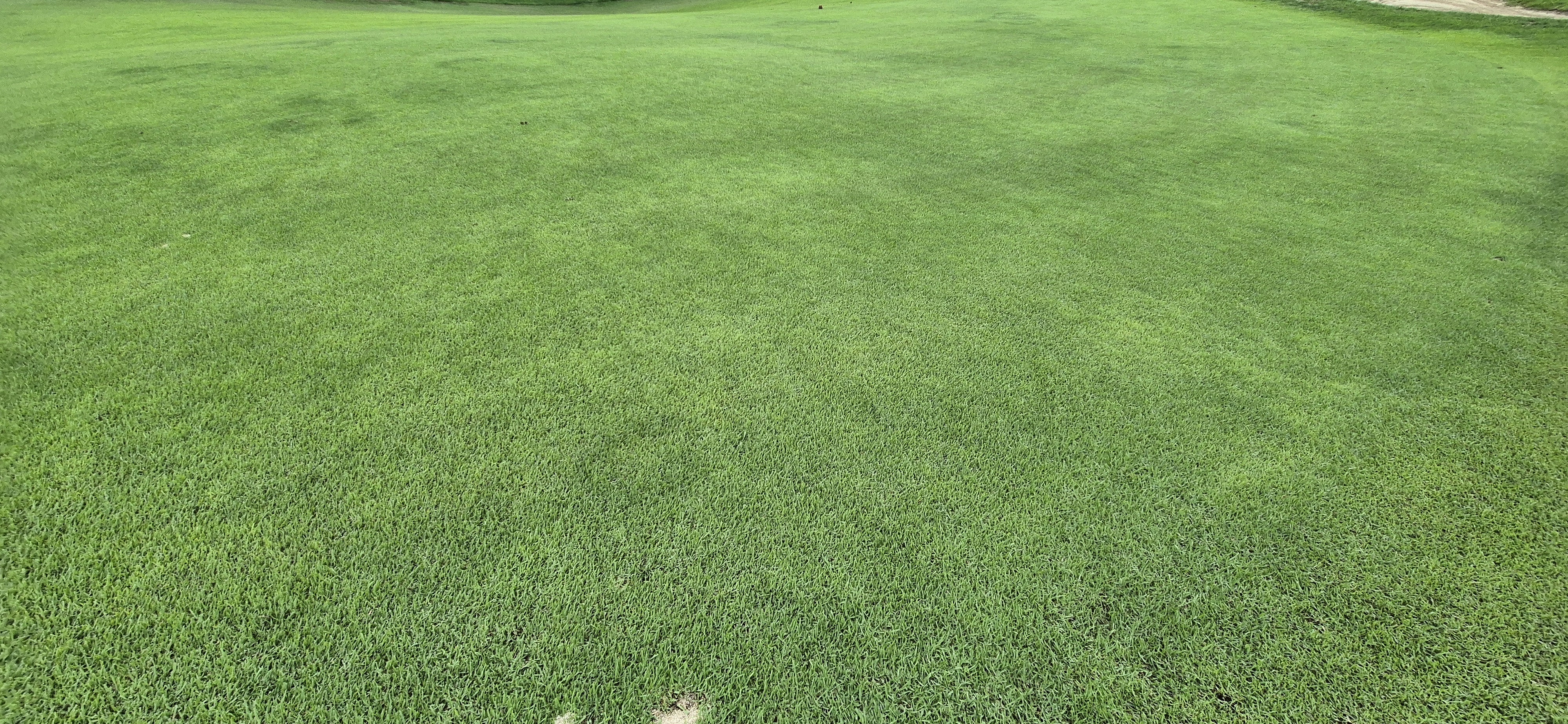 더플레이어스cc