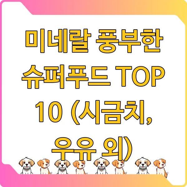 미네랄 풍부한 슈퍼푸드 TOP 10 (시금치, 우유 외)