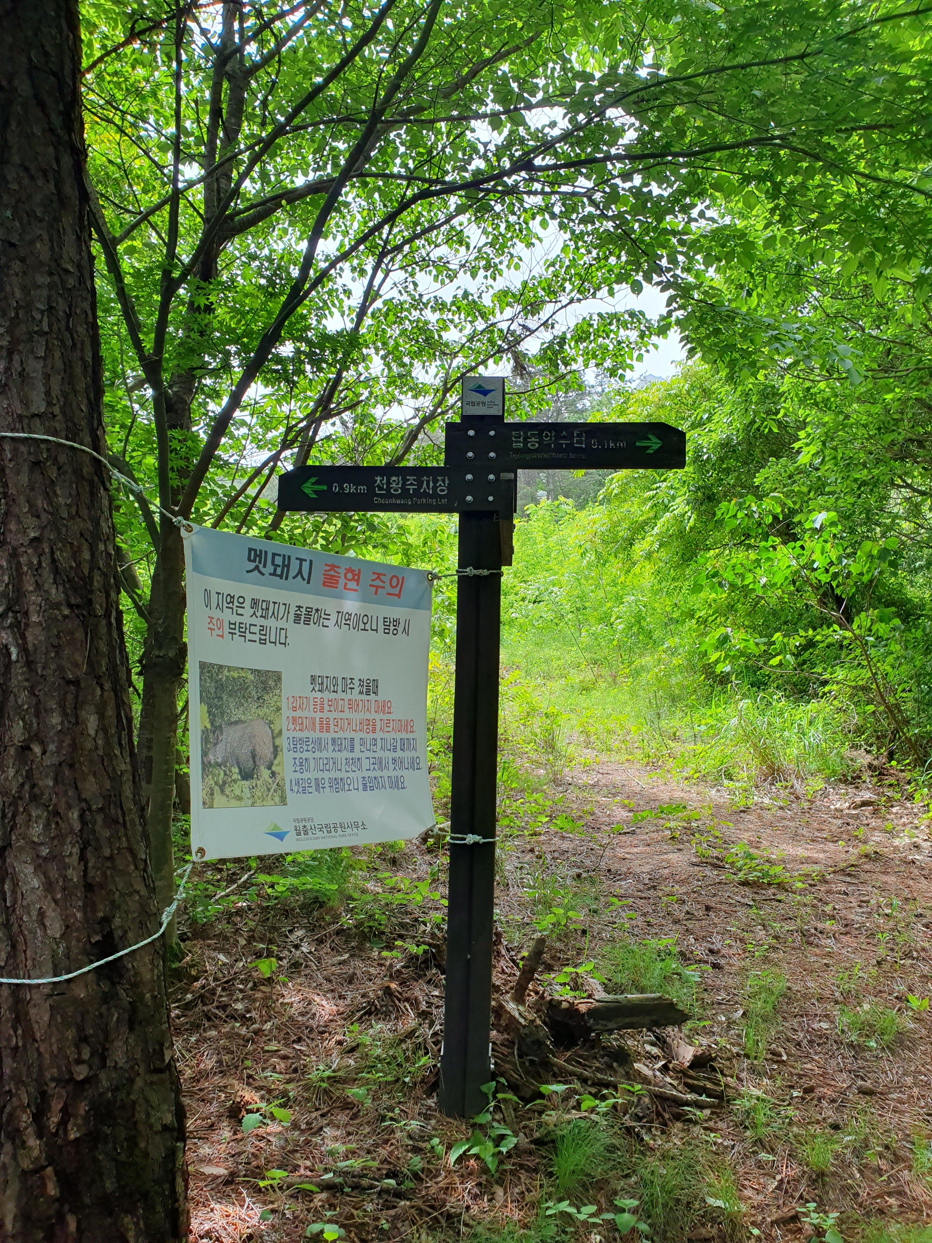 월출산 국립공원