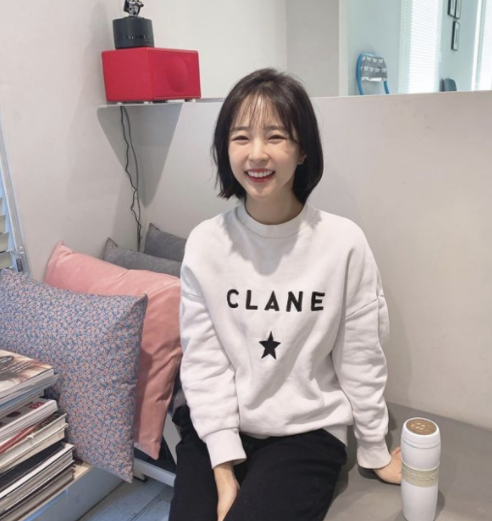 모델 모에카
