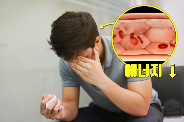 저혈압 증상 피로감