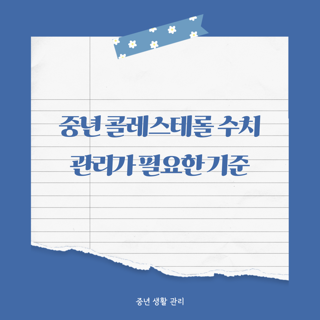중년 콜레스테롤 수치, 관리가 필요한 기준은 어디부터일까