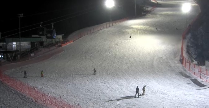 비발디파크 온라인 영상