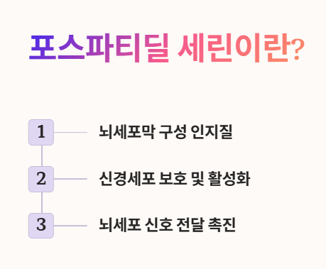 포스파티딜 세린이란?