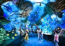 통영 가볼 만한 곳