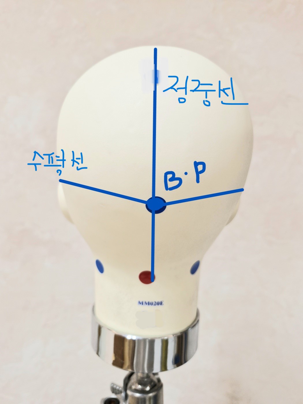 백 포인트