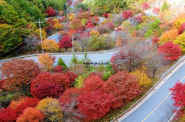 단양 가볼만한곳