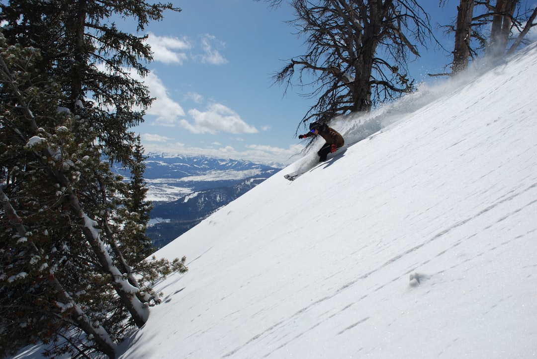 Skiing