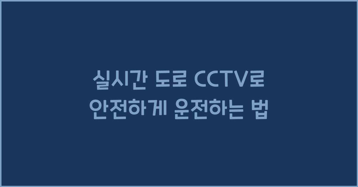 실시간 도로 cctv