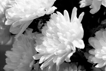 조문문자 예시문구&amp;#44; 기독교 