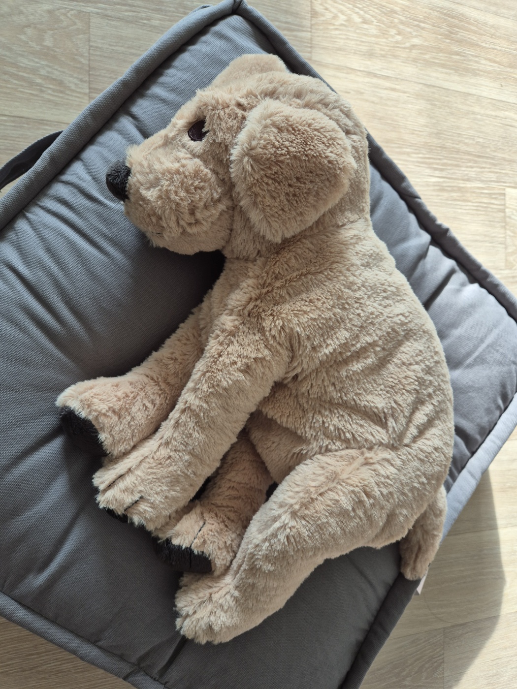 방석 및 골든리트리버 인형