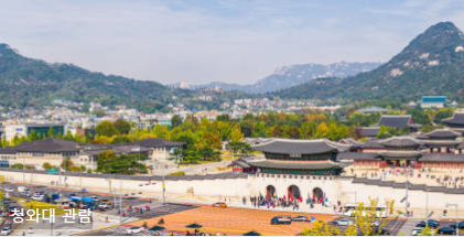 청와대 관람 신청