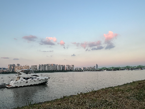 하늘을 닮은 하루, 꽃처럼 피어난 감정, 커피로 마무리