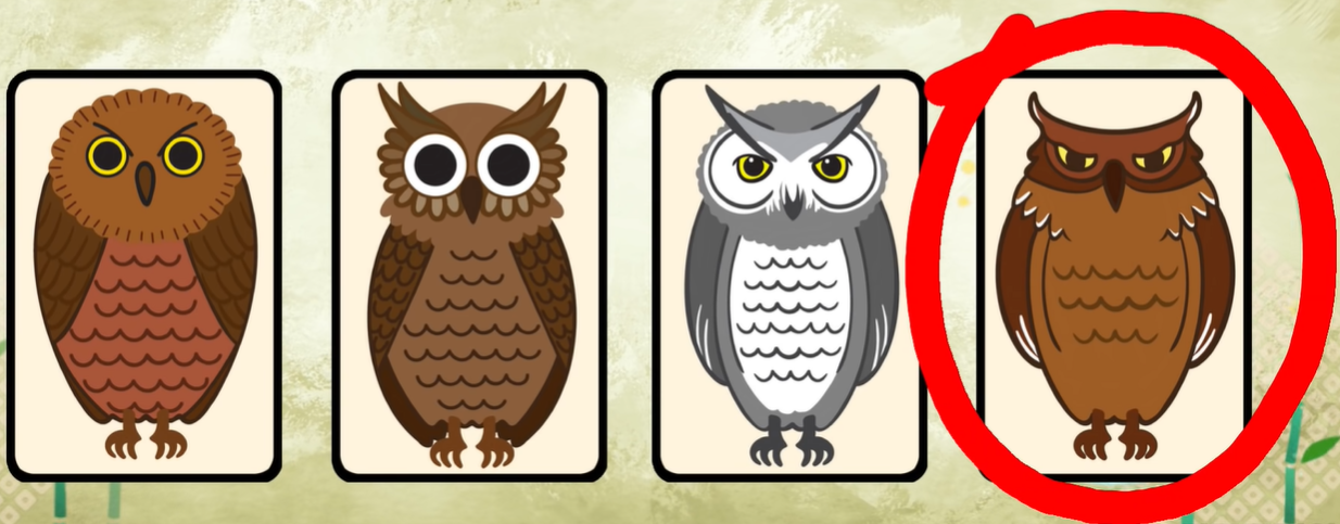 같은 그림 찾기 정답