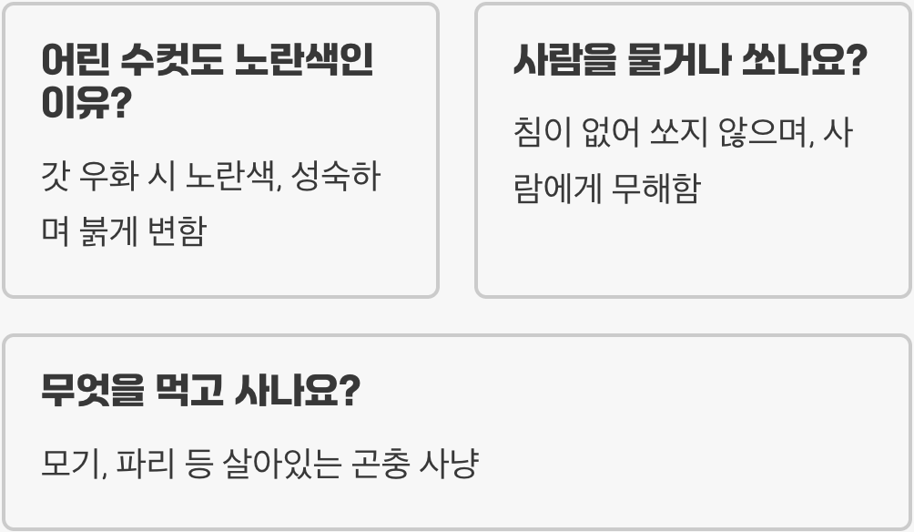붉은 수컷 vs 누런 암컷&amp;#44; 고추잠자리 암수 구별 초간단 꿀팁 3가지