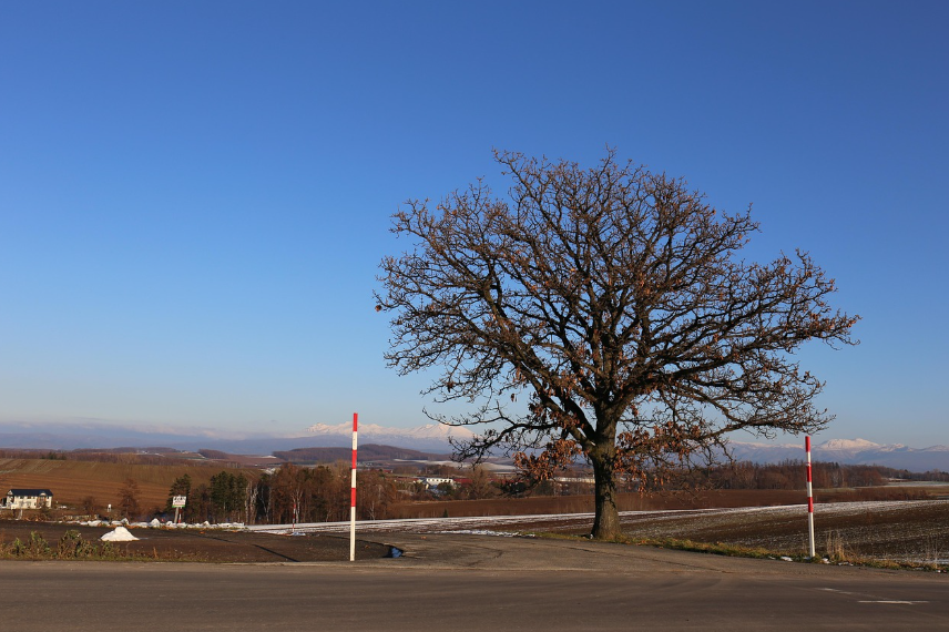 북해도 6월 날씨