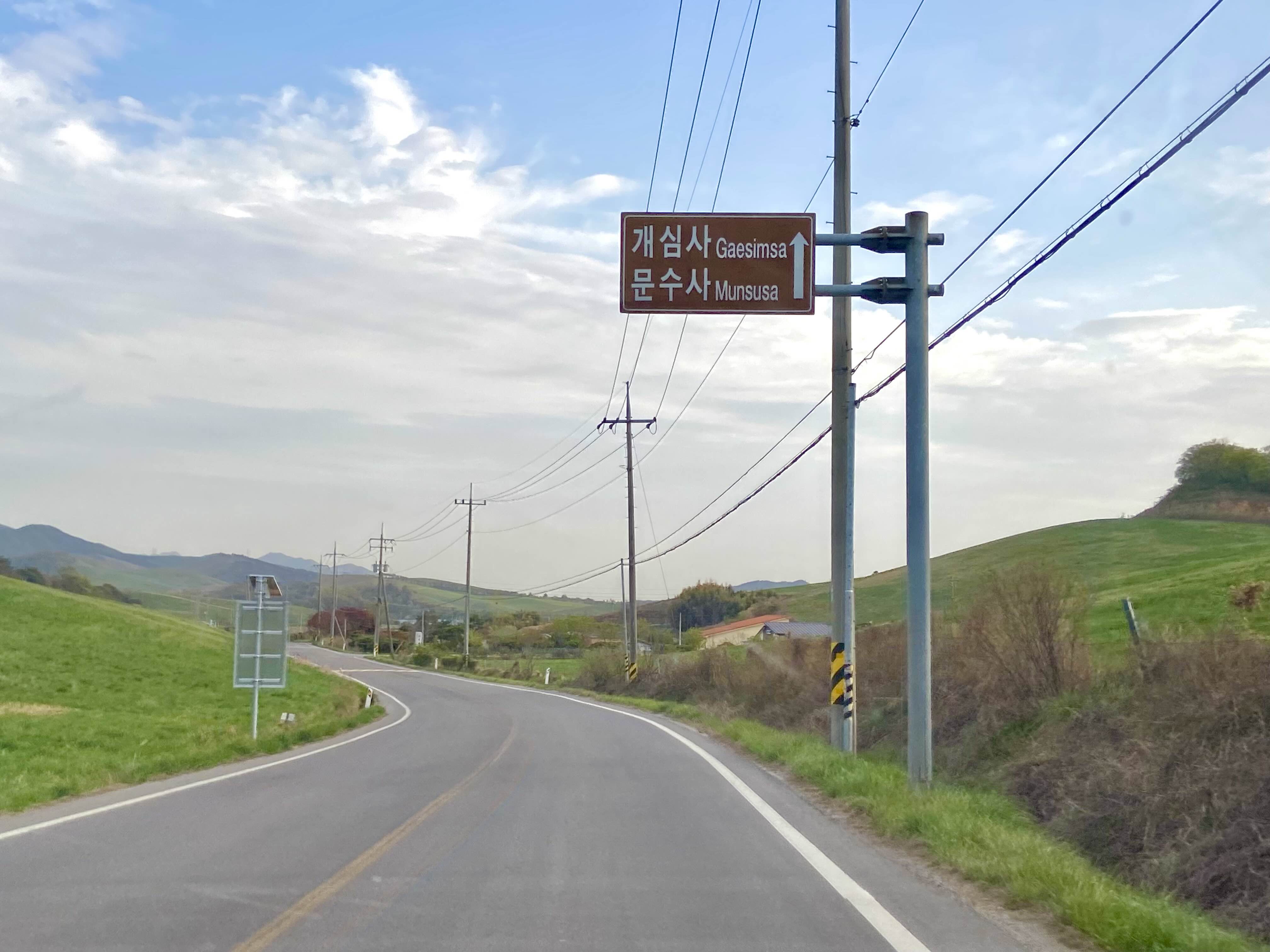 서산 겹벚꽃