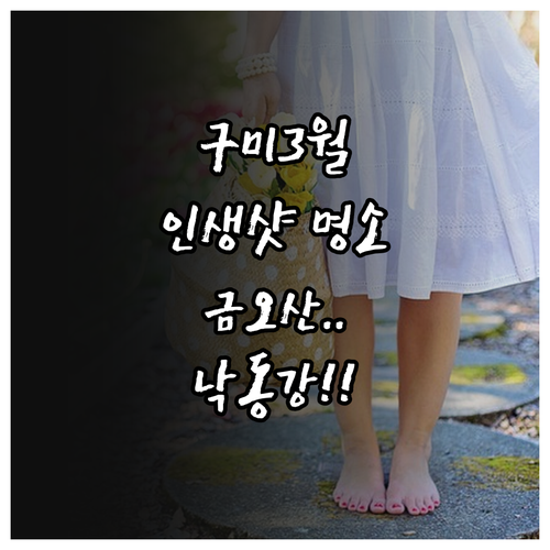 구미 3월 가볼만한곳 추천 및 금오산..