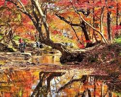 선운산