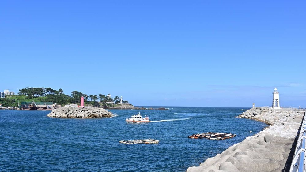 2024 경주 가볼만한곳 하루코스 시내 놀거리 유적지 왕릉 먹거리