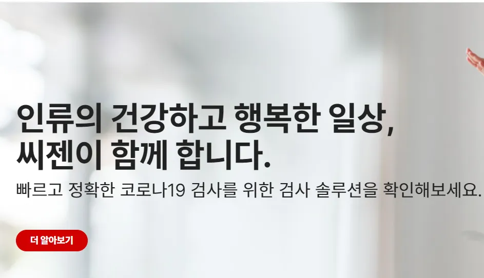씨젠 096530 1분기 배당 배당금 배당일 실적 4