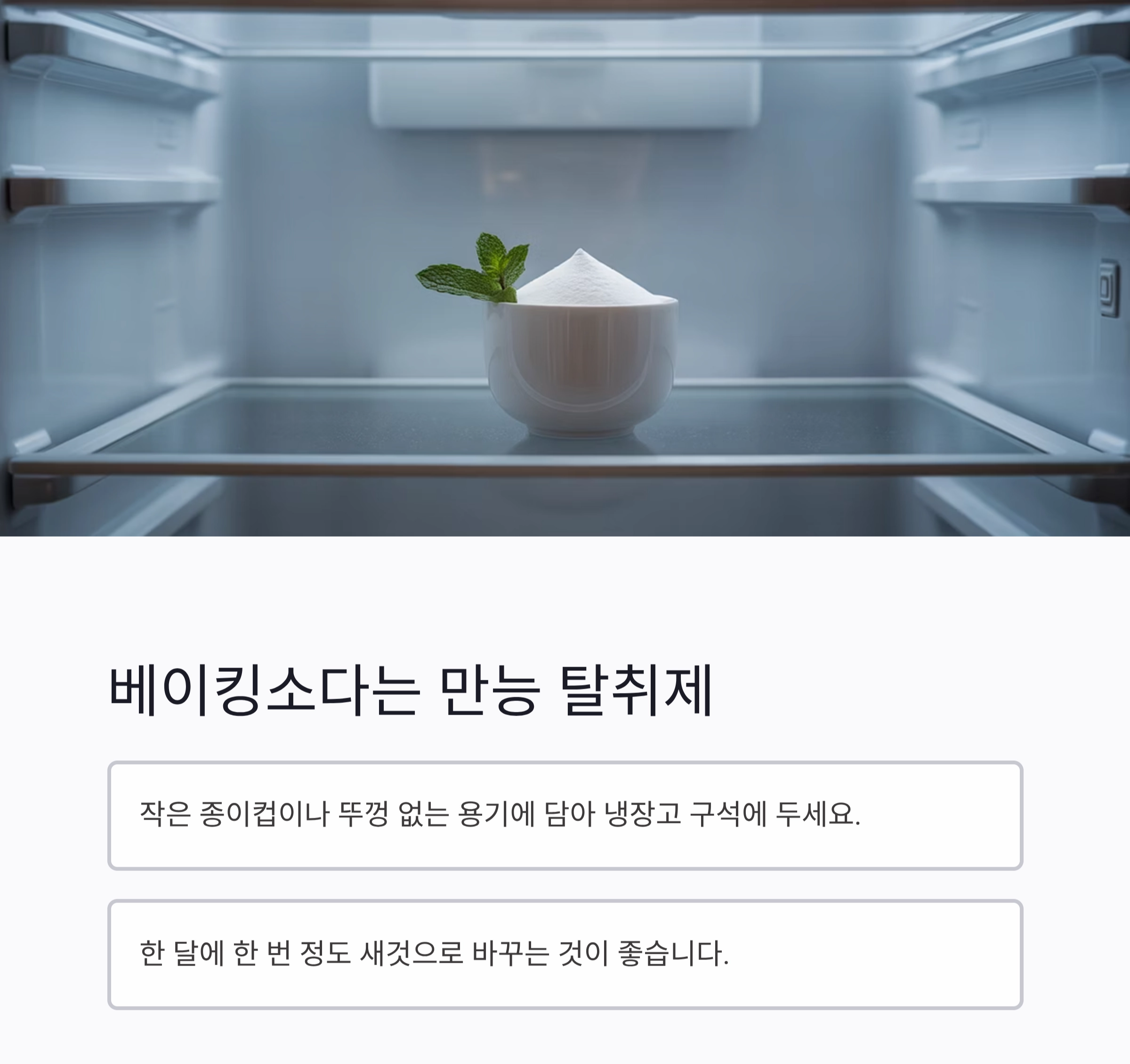냉장고 냄새 싹 잡는 재료, 이것만 알면 끝!