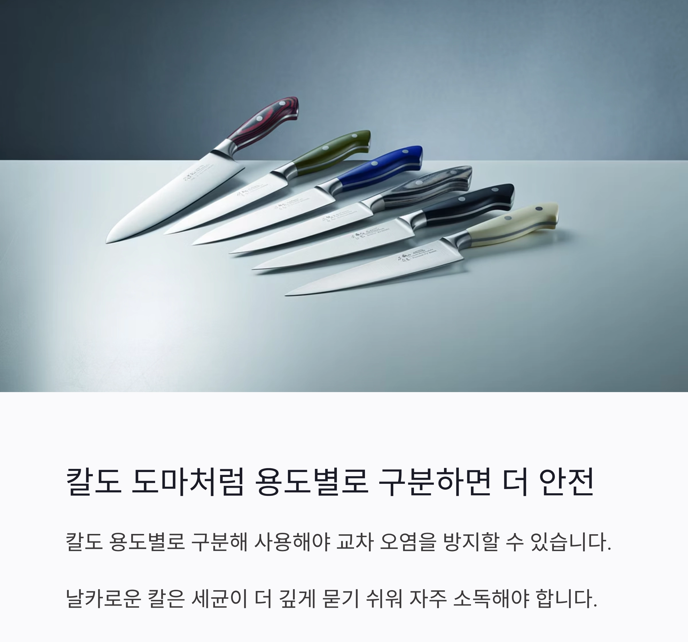 요리할 때 칼과 도마를 구분해서 써야 하는 진짜 이유