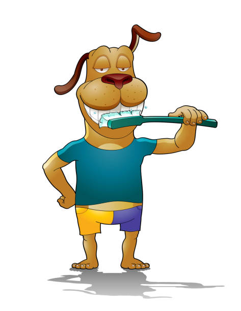 여름철 강아지 구강 건강 지키기 이미지