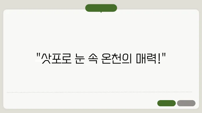 일본 삿포로 여행 가볼만한곳 겨울 온제 즐기기