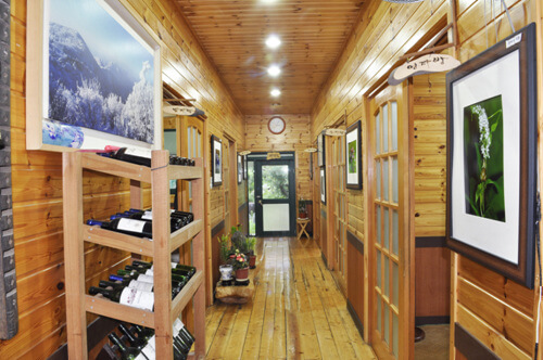 장흥 맛집 베스트 5