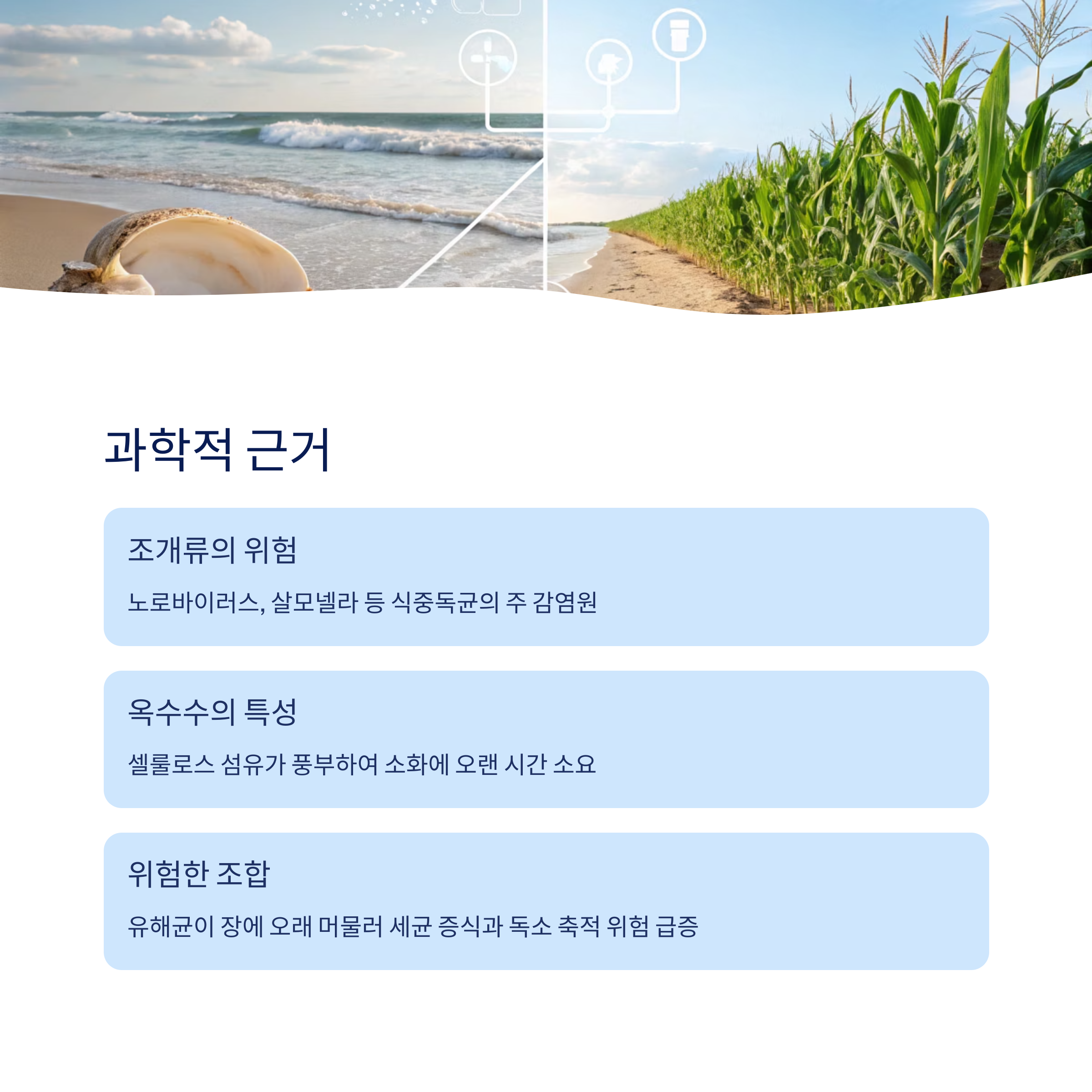 과학적 근거