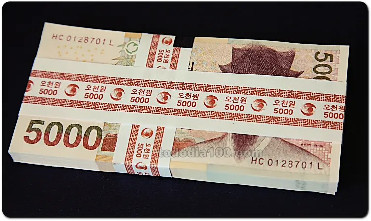오만원 한국돈 cont.insure.or.kr 