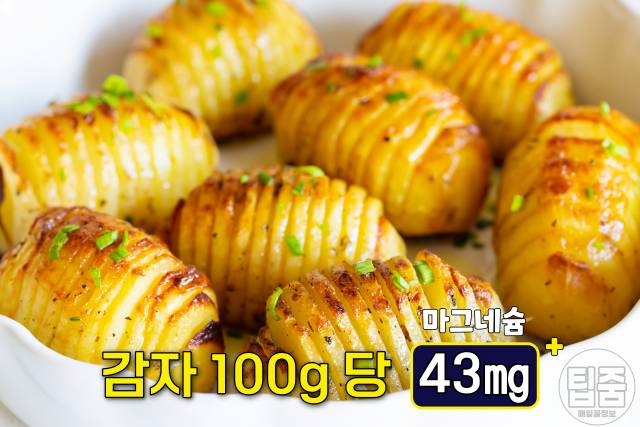 마그네슘 많은 음식 감자 마그네슘 하루 권장량 부작용