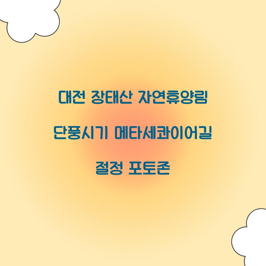 대전 장태산 자연휴양림 단풍시기