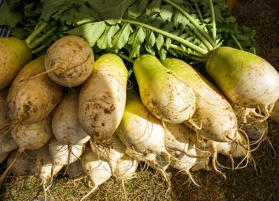 무생채 맛있게 하는법 : 무가 여러개 쌓여있다