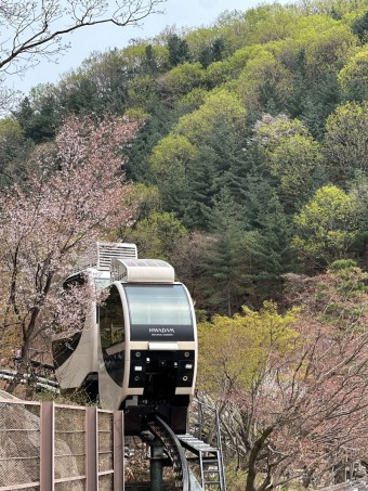 화담숲예약하기
