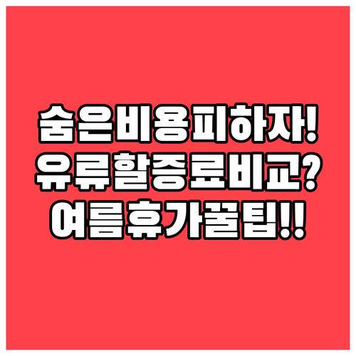 여름휴가 항공권 숨은 비용 피하는 법..