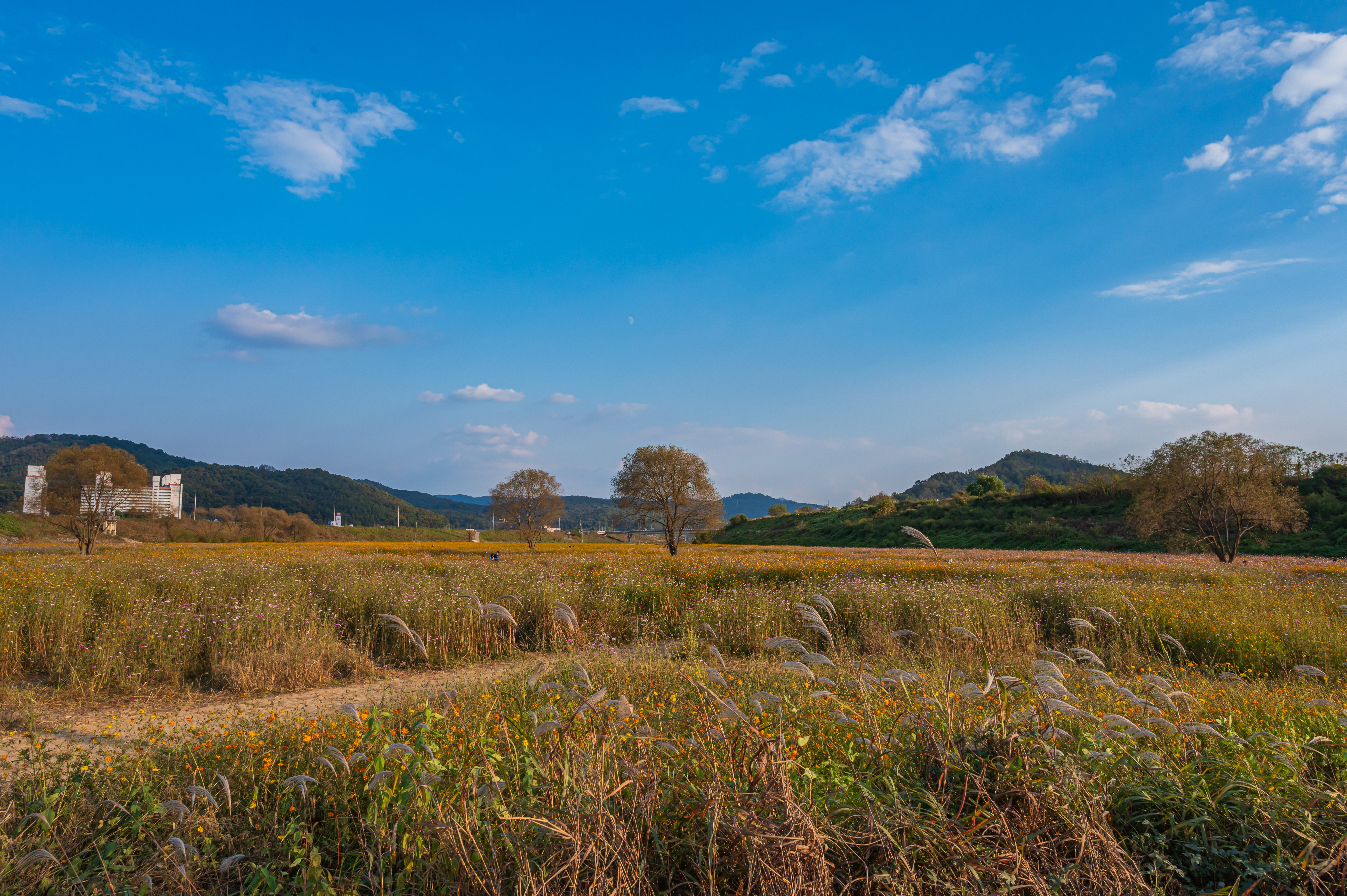 ์ฝ์ค๋ชจ์ค ๋ง๊ฐ '์ธ์ข
์ฒ๋ฐ๊ทผ๋ฆฐ๊ณต์'