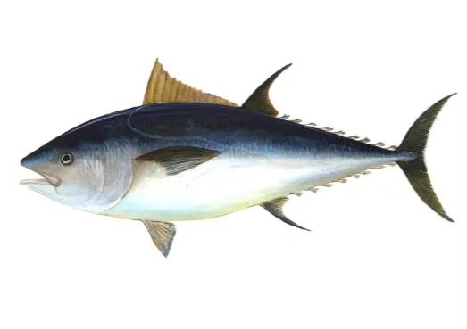 유방암에 좋은 음식 피해야 할 나쁜 음식