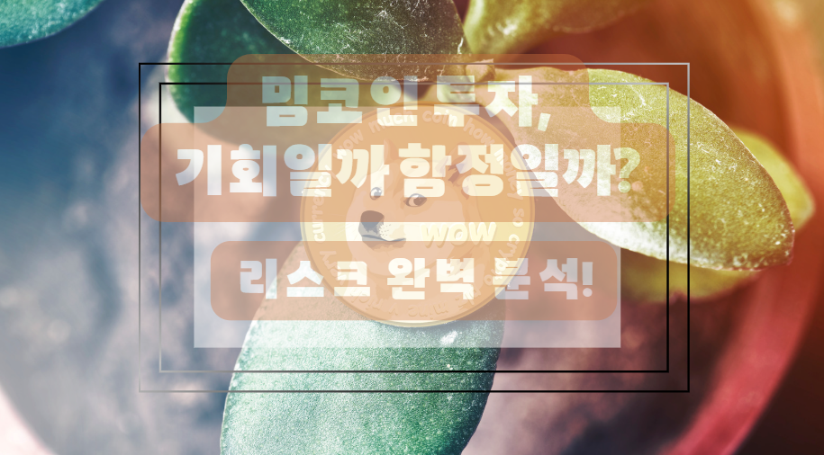 밈코인 리스크 분석