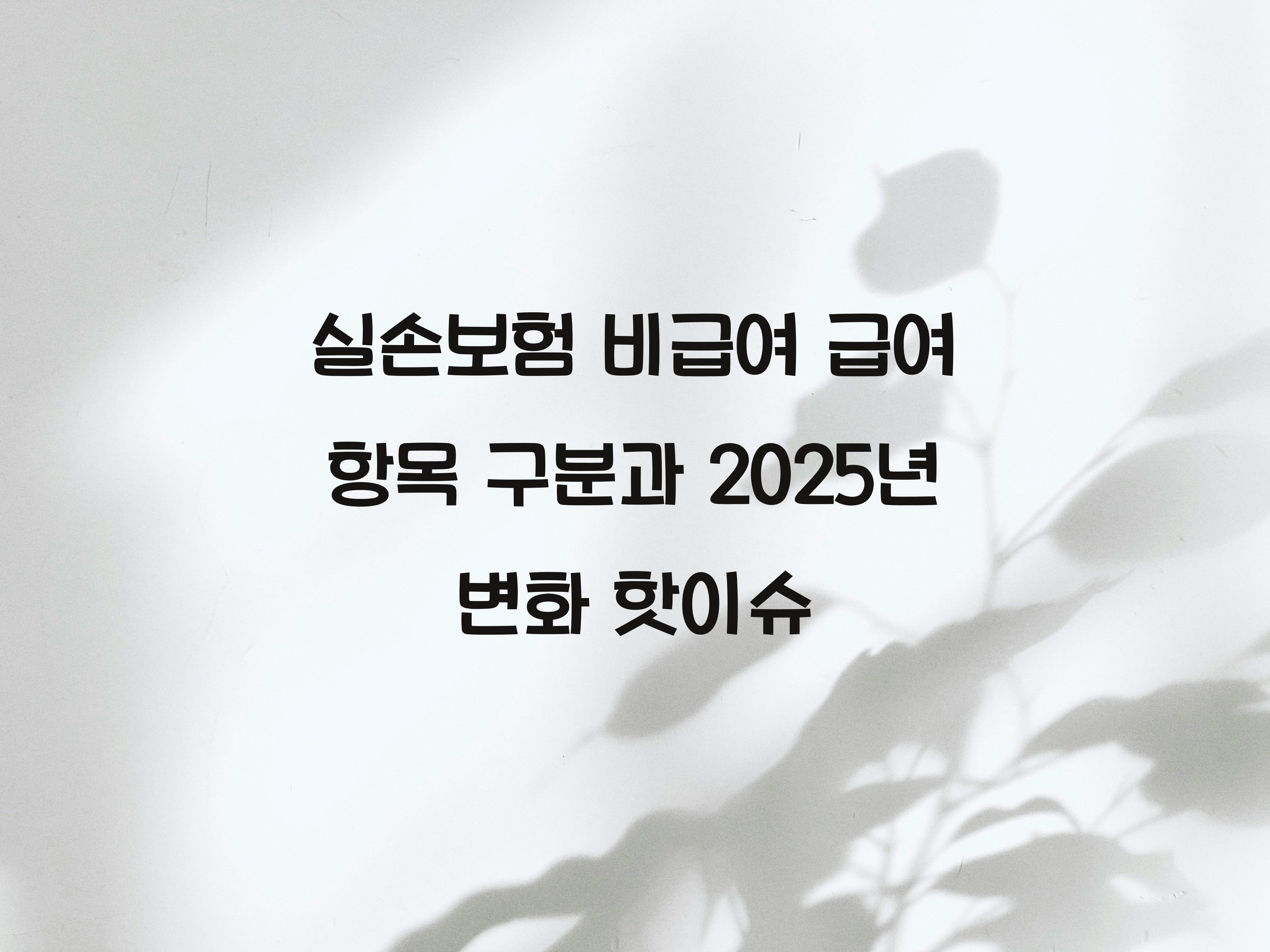 실손보험 비급여 급여 항목 구분