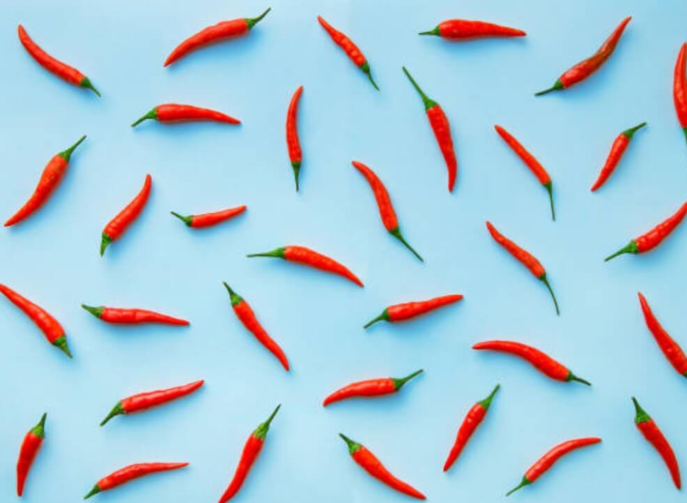 청양고추 매일3개씩 먹으면