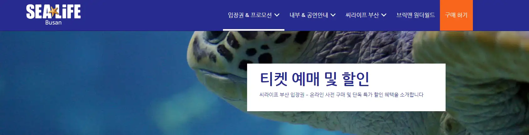 부산 아쿠아리움 공식 홈페이지 사진