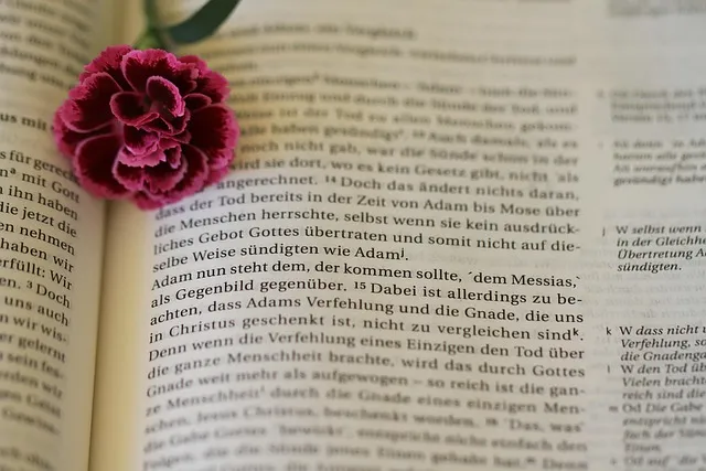 로마서 11장 36절 해석 - 이는 만물이 주에게서 나오고 주로 말미암고 주에게로 돌아감이라_3