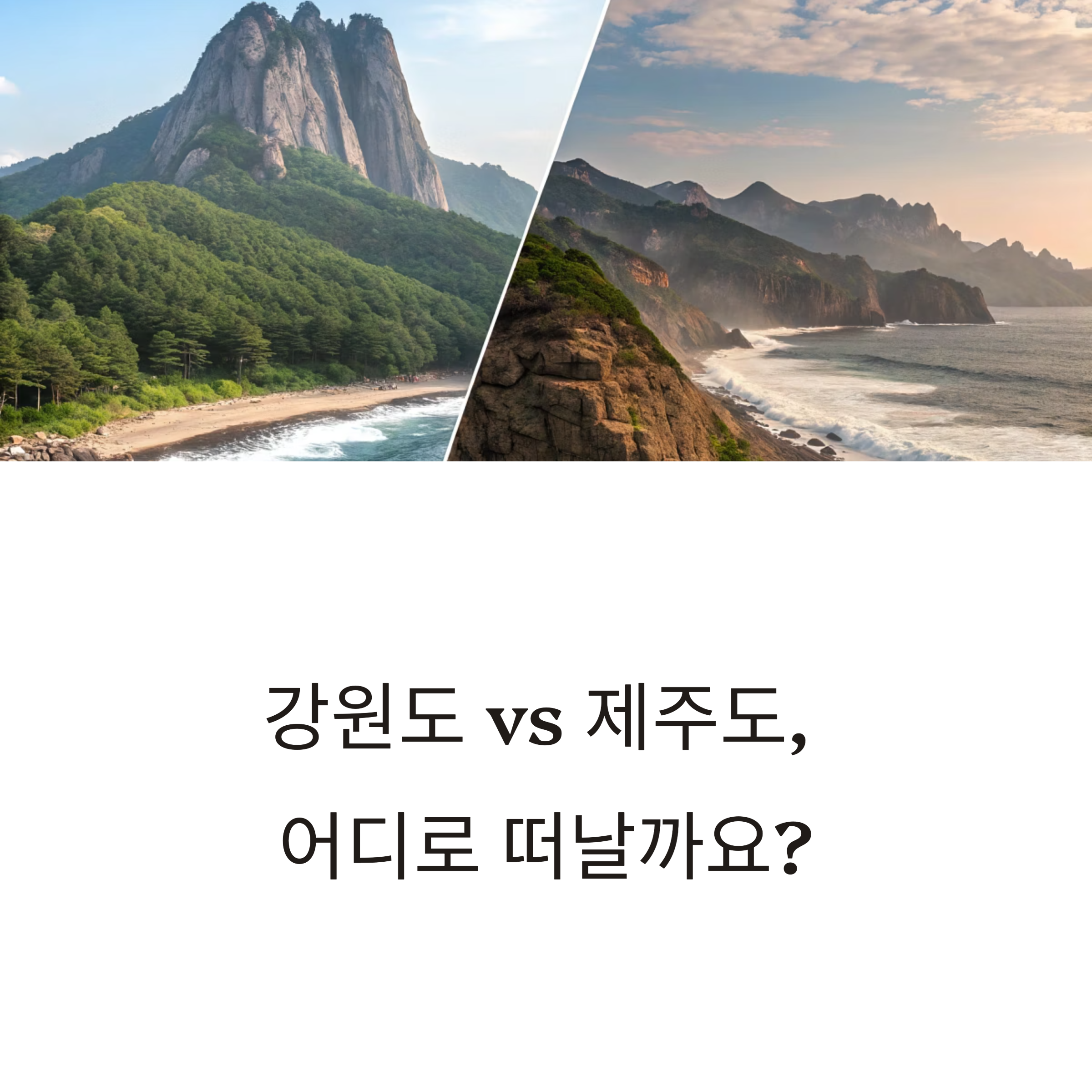 강원도 vs 제주도 여행지 비교