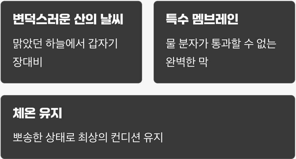 이유 1. 쏟아지는 비를 막는 완벽한 방패, '방수'