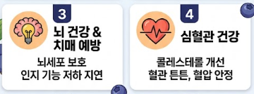 블루베리 효능